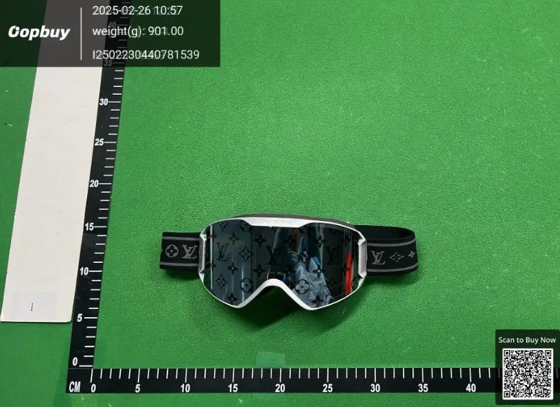 Snow Goggles — QC