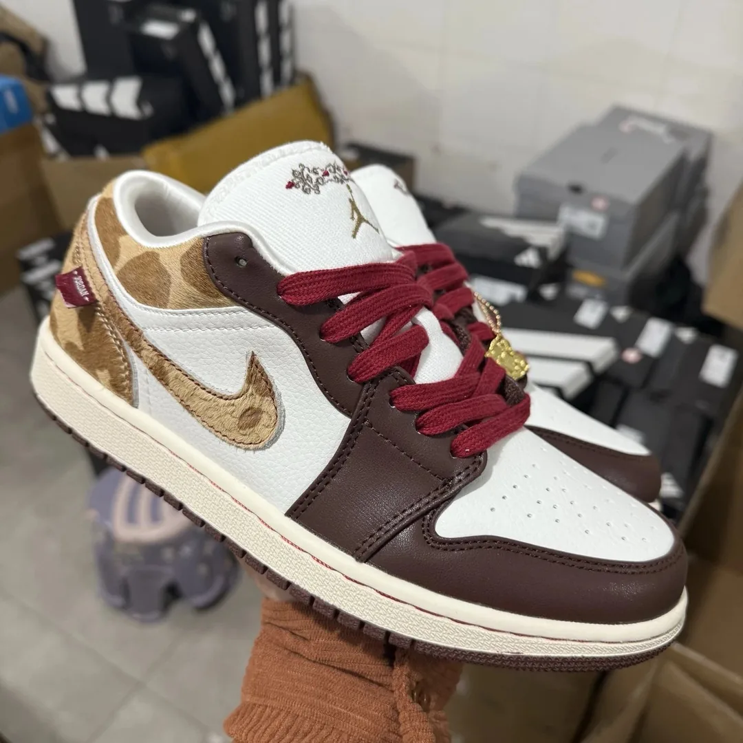 Air Jordan 1 CNY Brown — Photo 10