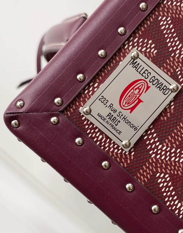Goyard Watch Case Trunk Bag — photo 7