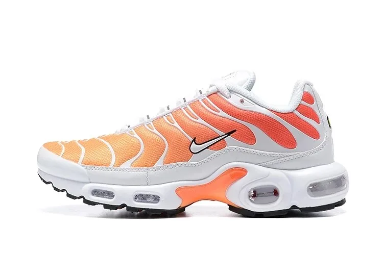 Multicolor Nike Air Max Plus TN — QC
