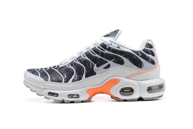 Multicolor Nike Air Max Plus TN — QC