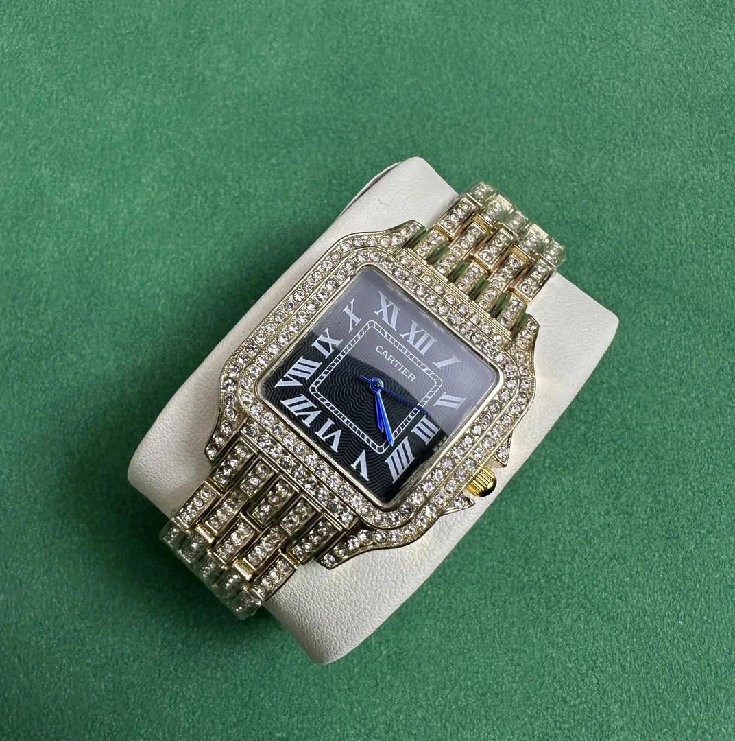 Rolex Watch Collection — QC