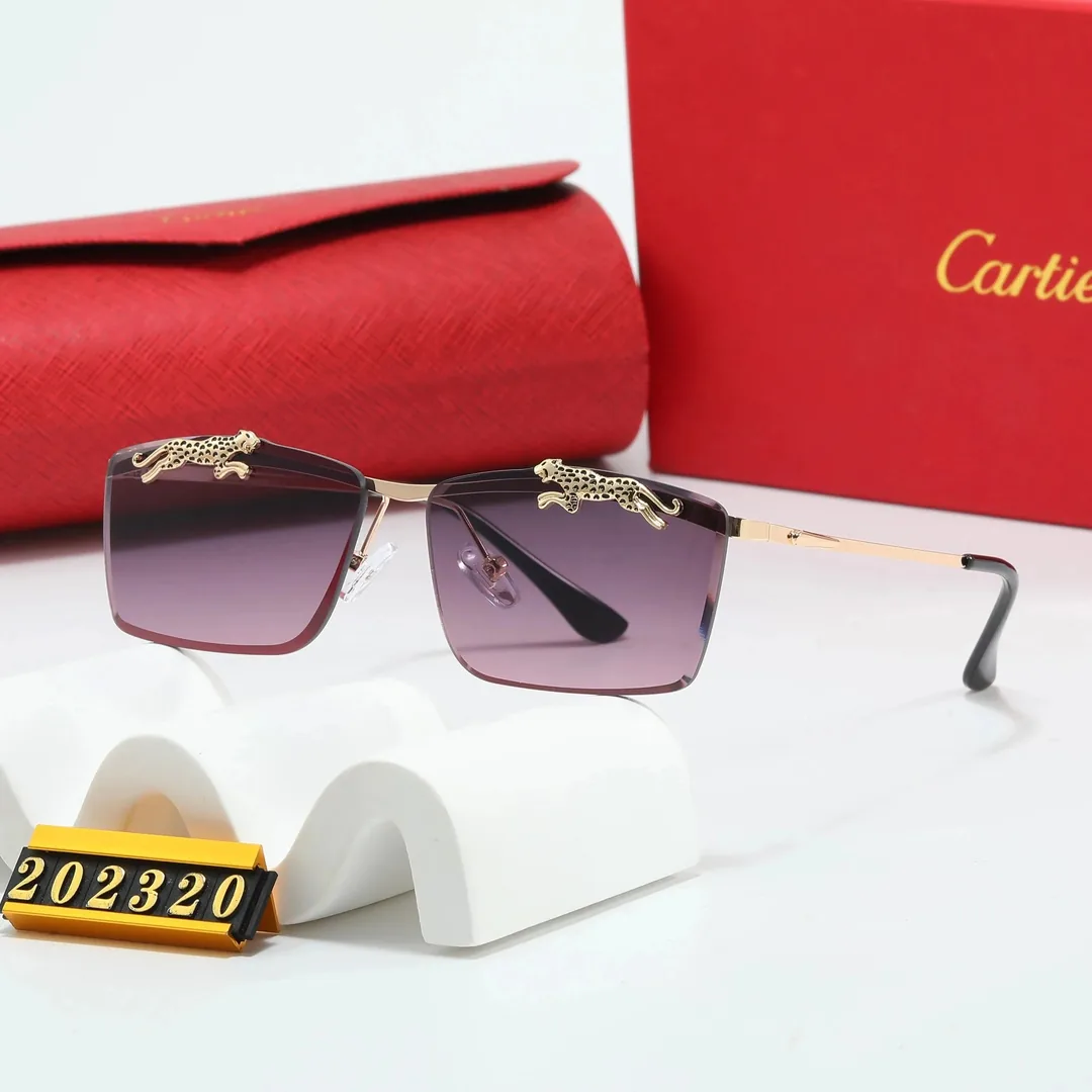 Summer Street Sunglasses — QC