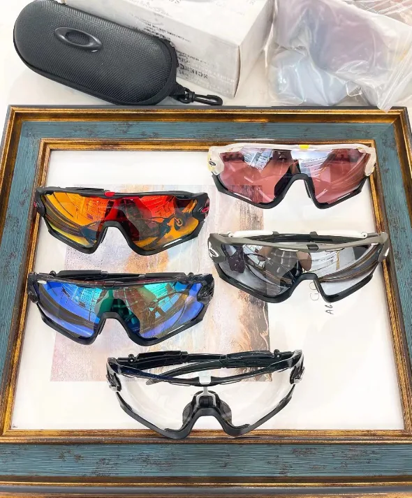 Lightweight Polarized Sunglasses
