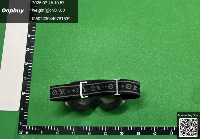 Snow Goggles — QC