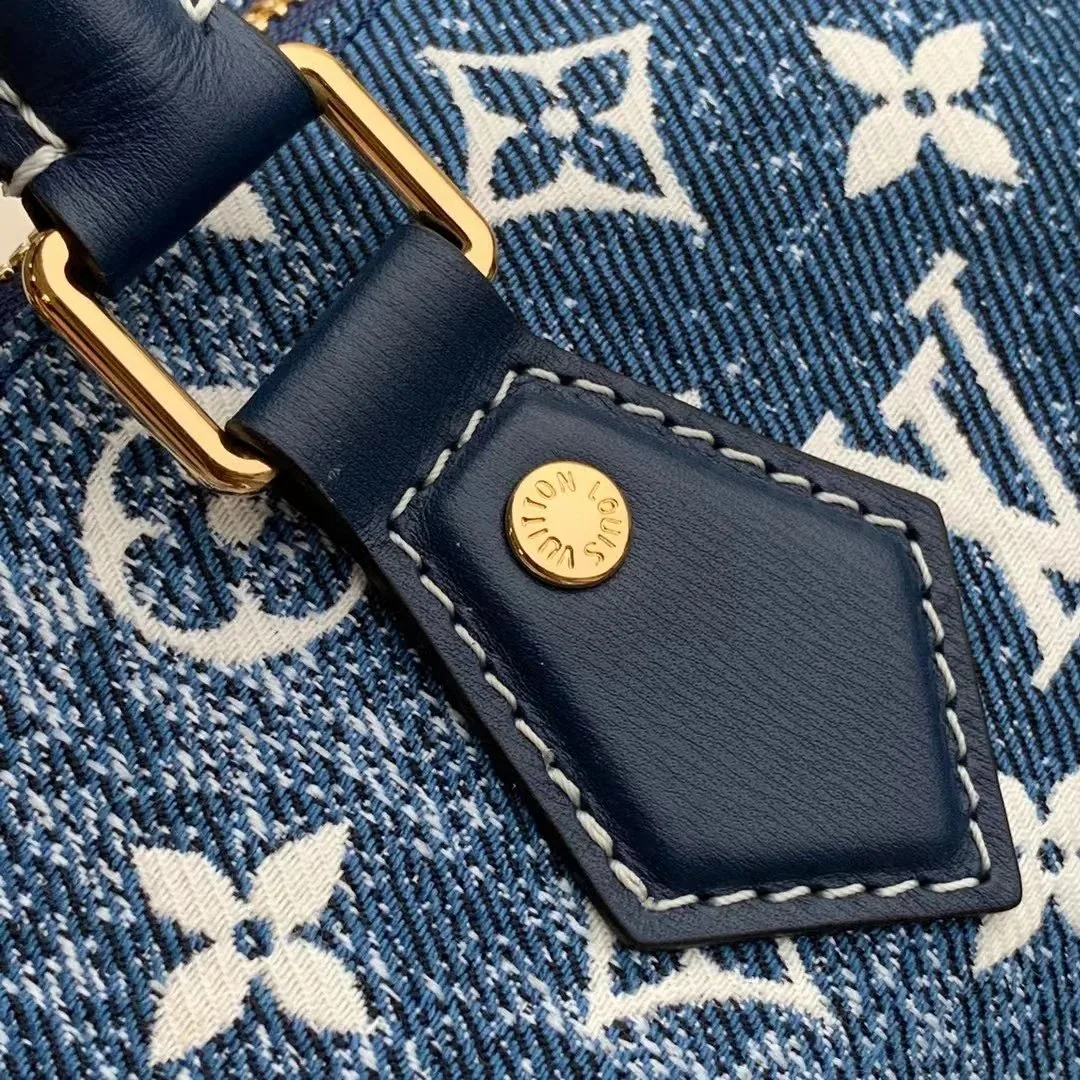 Louis Vuitton Speedy Leather Bag — QC