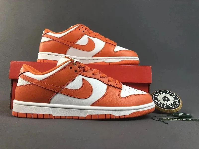 Nike SB Dunk Low Lace-Up Runners — QC