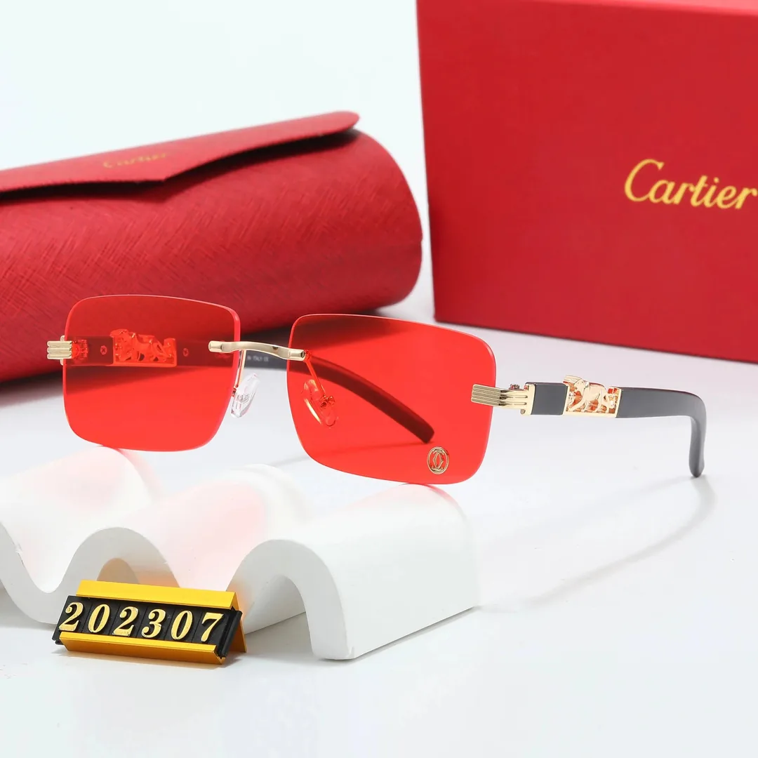 Summer Street Sunglasses — QC