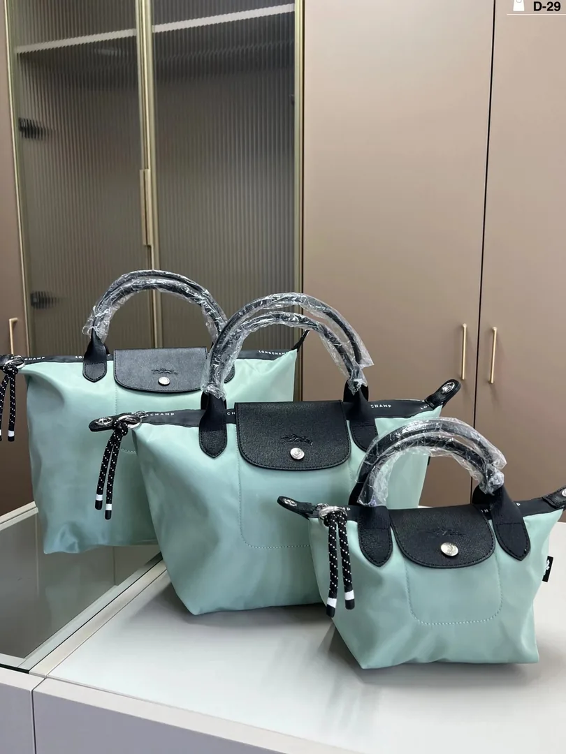 Longchamp Dumpling Bag — photo 4