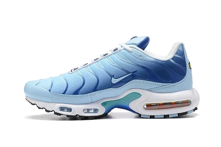Nike Air Max Plus TN — QC