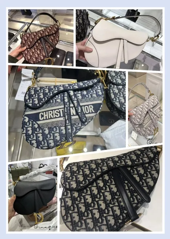 Christian Dior Oblique Saddle Bag