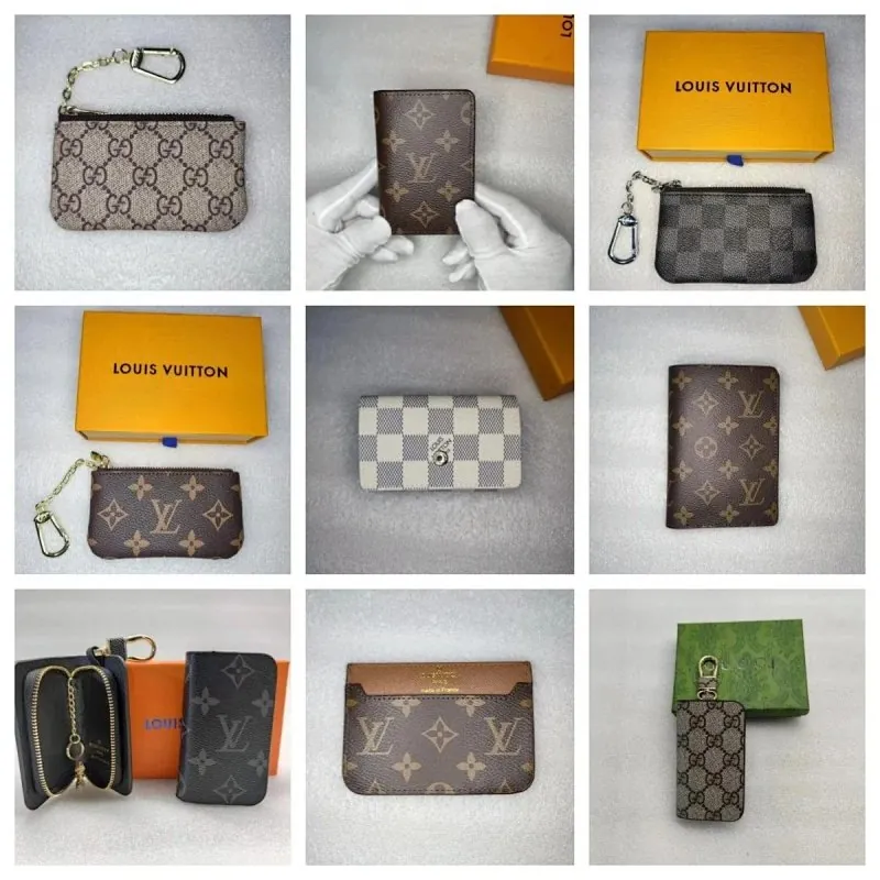 Louis Vuitton Monogram Key Pouch Card Holder Collection