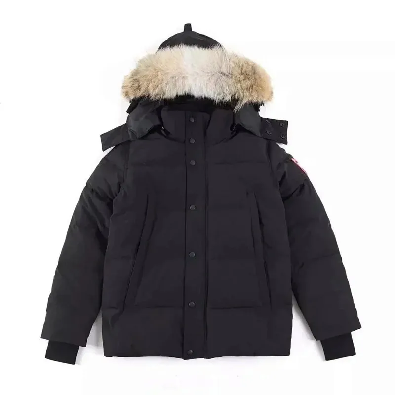 Down Jacket