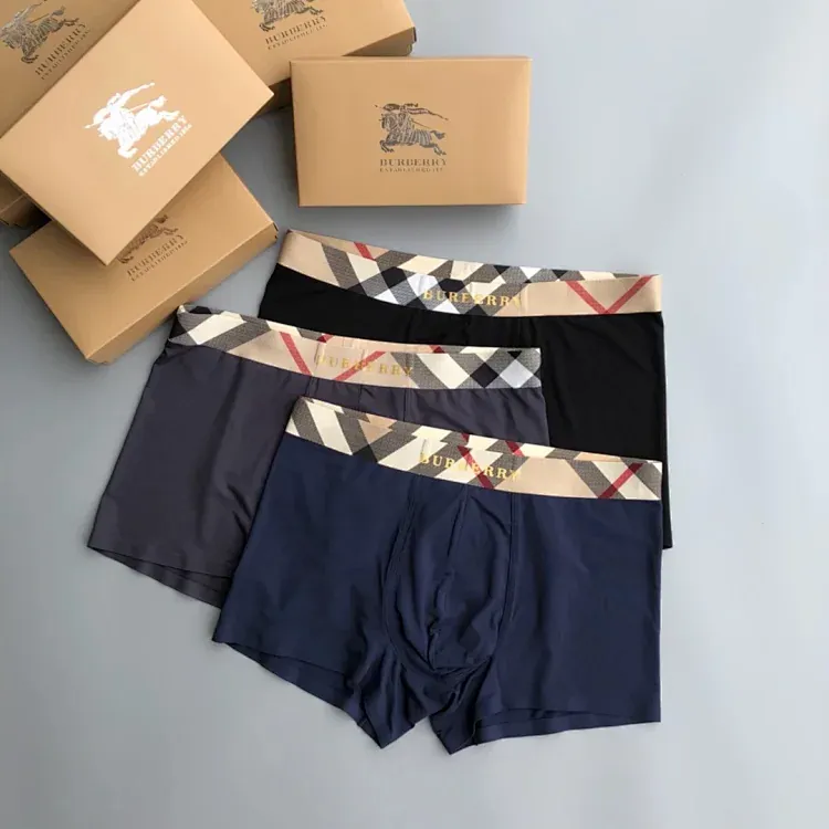 Burberry Check Waistband Boxer Briefs Set