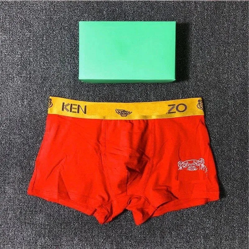 Kenzo Logo Waistband Boxer Briefs